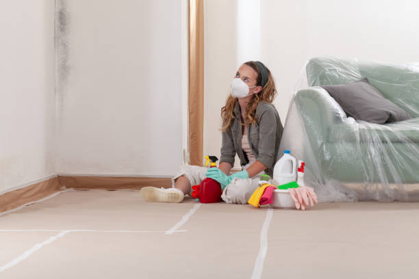Reliable Black Mold Removal contractor in Ijamsville, MD by WQB Mold Removal